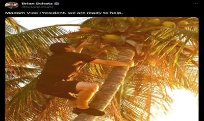 content-image